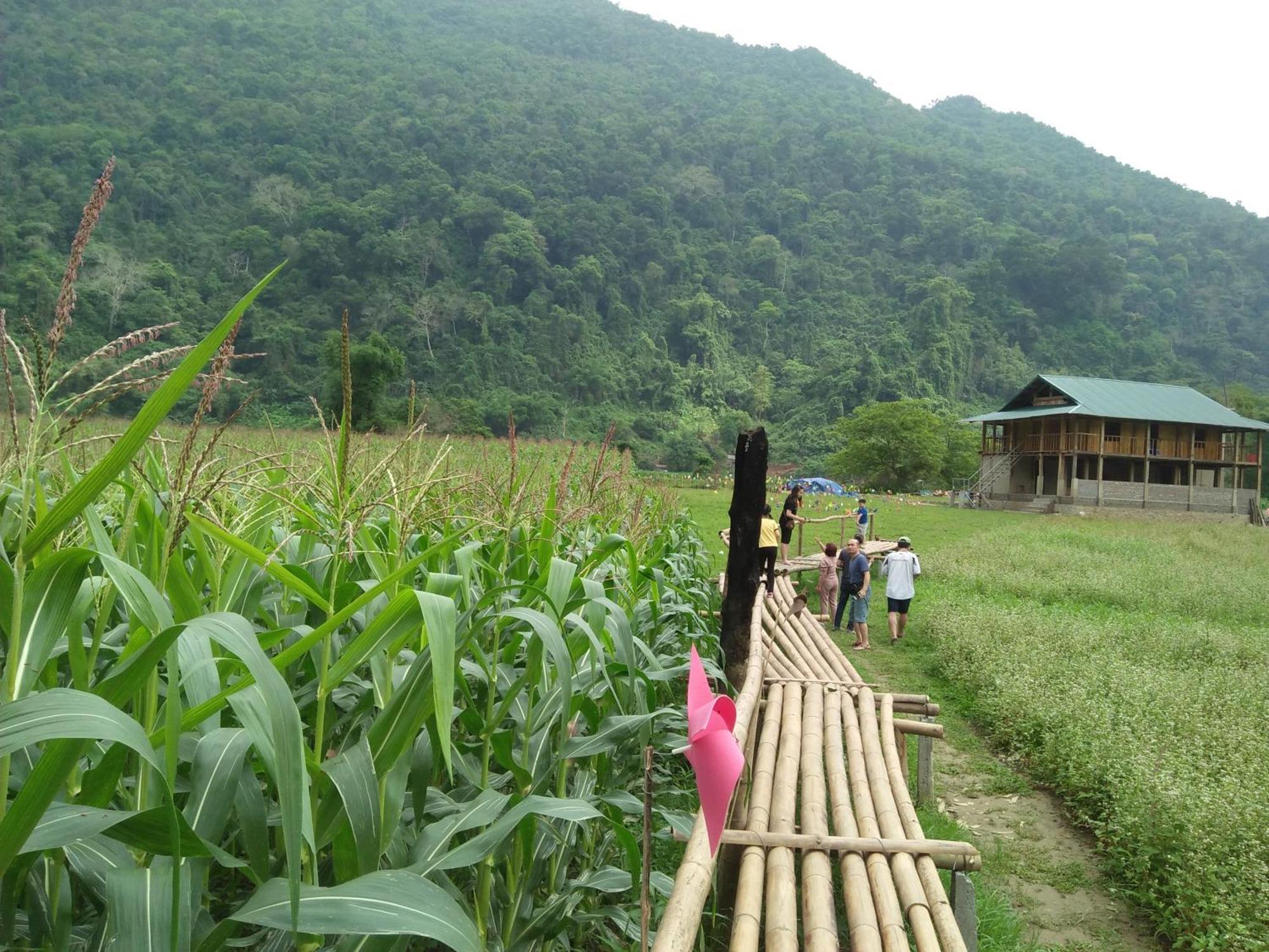 Trần Xuân Homestay - Ba Bể Ngoại thất bức ảnh